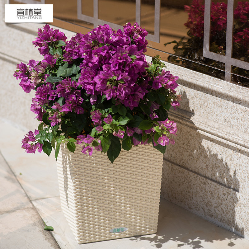 6001 仿藤編自動吸水花盆塑料辦公室客廳正方形懶人花盆