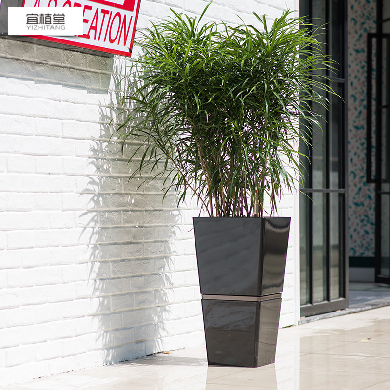 4012 宜植堂自動吸水花盆組合自動澆水高檔烤漆智能花盆