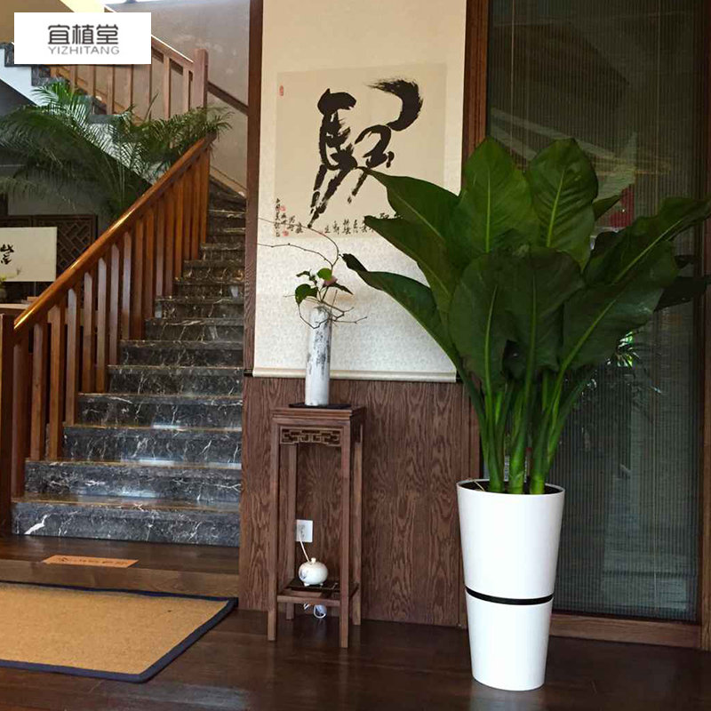 4056 自吸水大號花盆圓口組合烤漆租擺租賃開業(yè)大堂懶人花盆